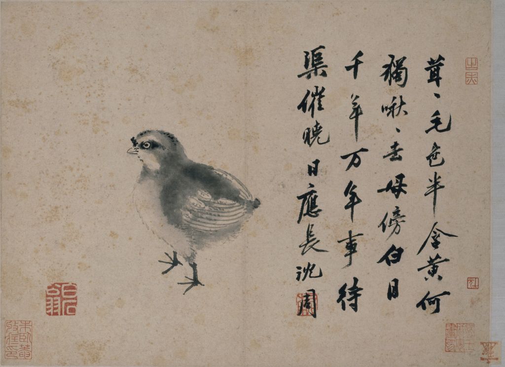 图片[1]-Shen Zhou’s chicken picture page-China Archive